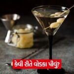 vodka classes
