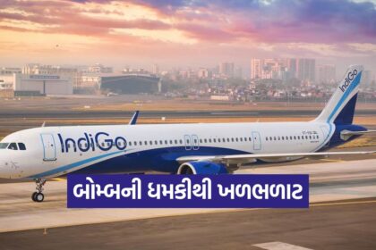 indigo 2909