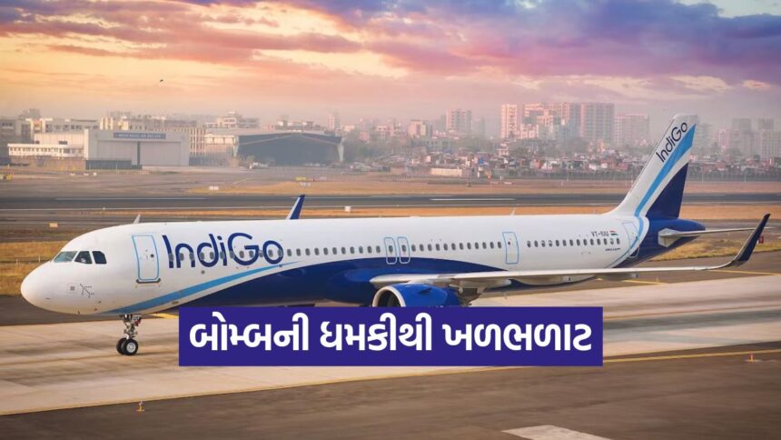 indigo 2909