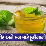 minit tea1