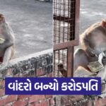 monkey 2