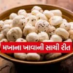 Makhana 1404