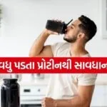 Protein 1504