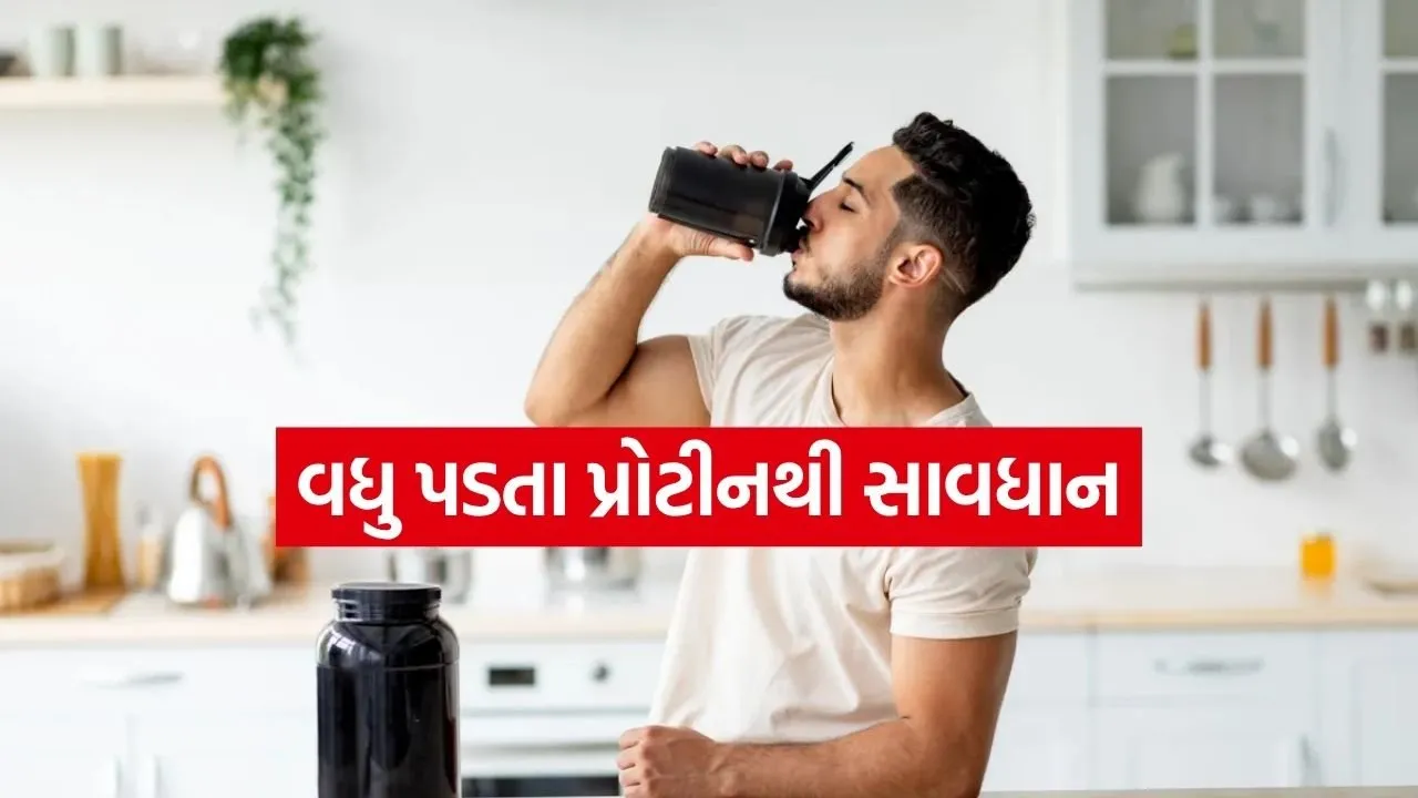 Protein 1504.jpg