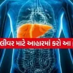 liver 1704