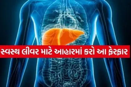 liver 1704