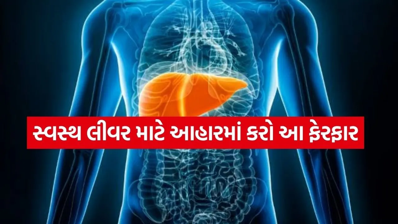 liver 1704.jpg