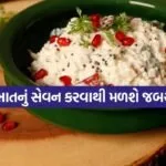 curd rice 2204 1