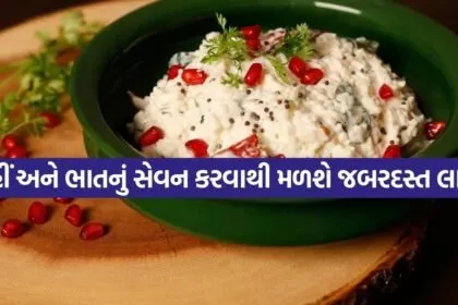 curd rice 2204 1