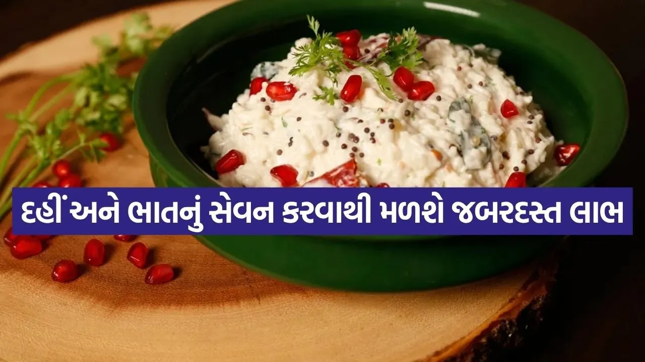 curd rice 2204 1.jpg