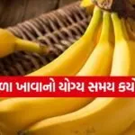 Banana 2504
