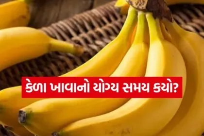 Banana 2504