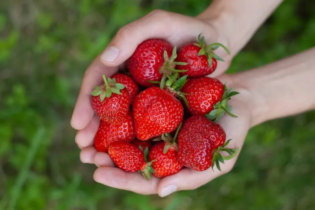 ચહેરાની કુદરતી ચમક માટે આ 5 ખોરાક રોજ ખાઓ 4 strawberry