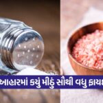 salt 0110 1
