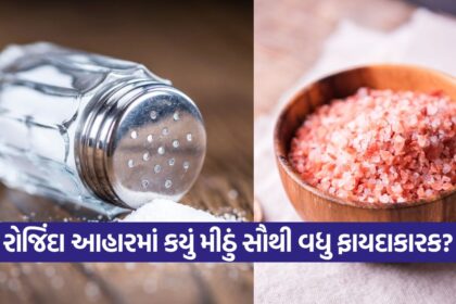 salt 0110 1