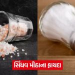 salt 43