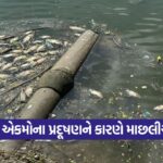surat 0110
