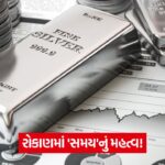 Silver Investment 53