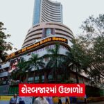 market 43 1