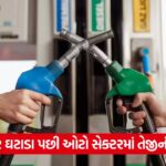 petrol pump diesel
