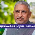bjp 0210