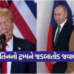 putin 0210