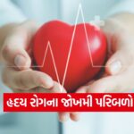Heart 0310