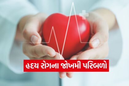 Heart 0310