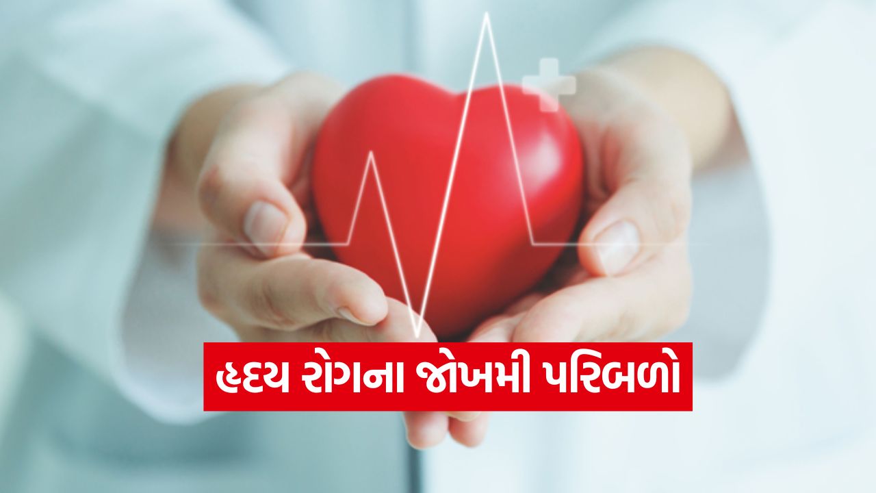 Heart 0310