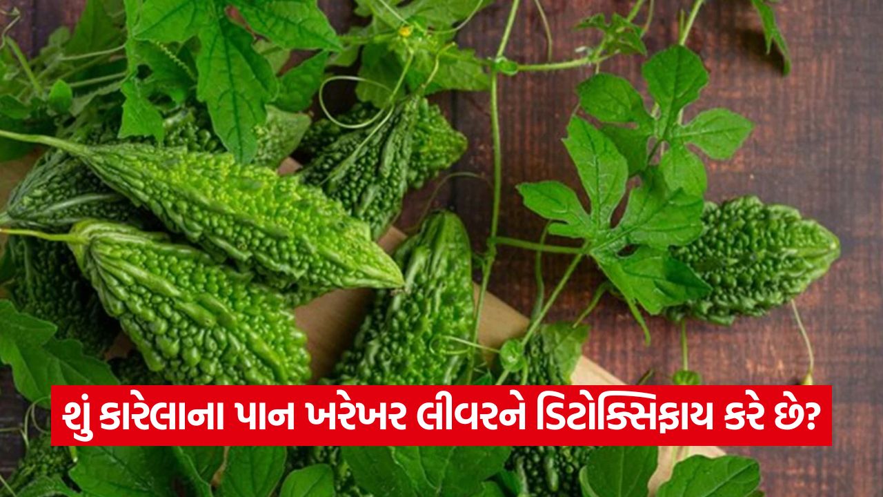 karela 3
