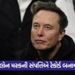 elon 343