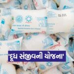 Yojana 0310