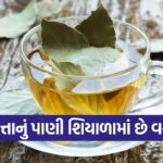 pattu