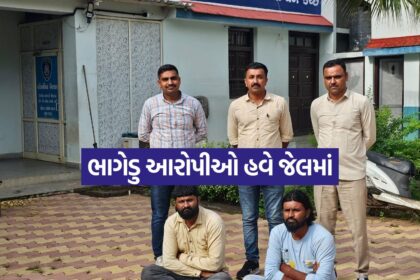 Kutch 0310 1