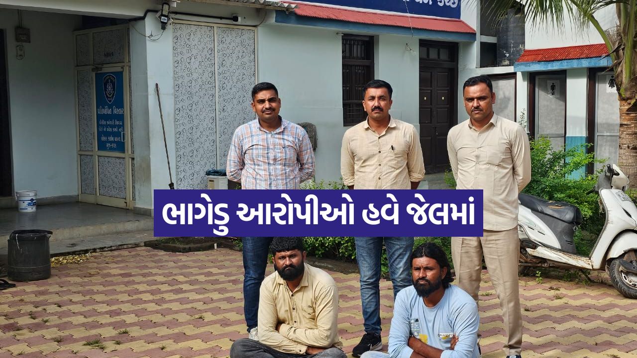Kutch 0310 1