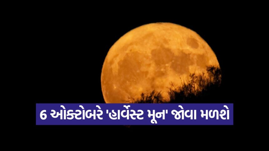Moon 0310