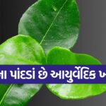 libu leaves