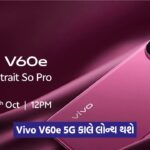 vivo 342