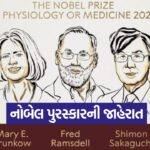 nobel 0610