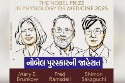 nobel 0610