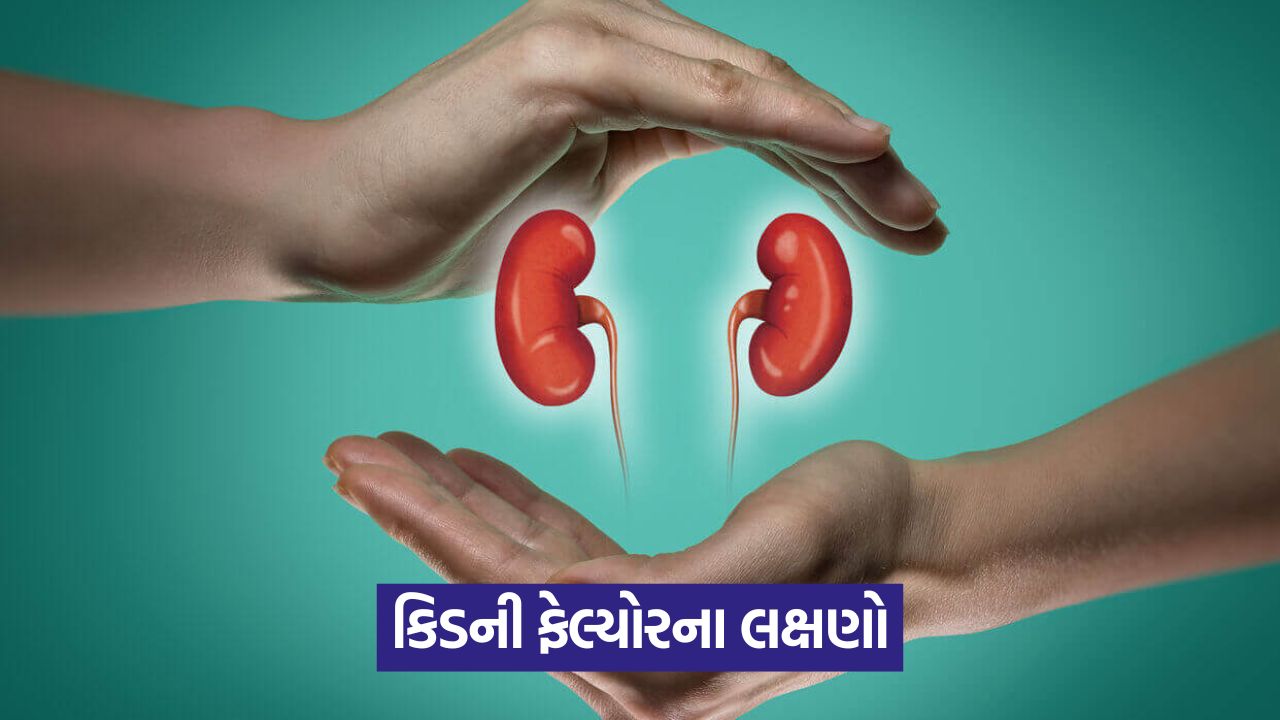 kidney 43 1