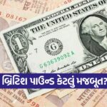 Pound 0810