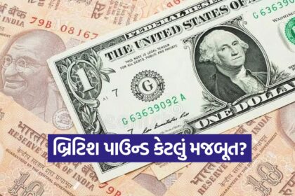 Pound 0810