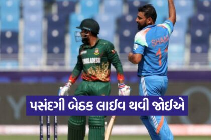 CRICKET 0810