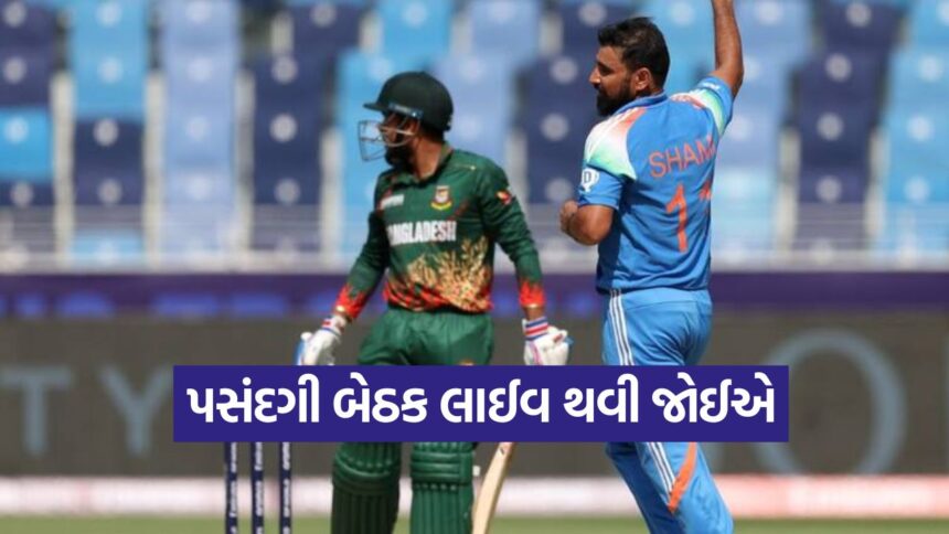 CRICKET 0810