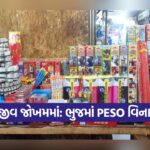 bhuj 0810