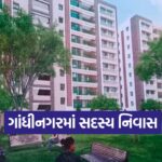 Gnagar 0810