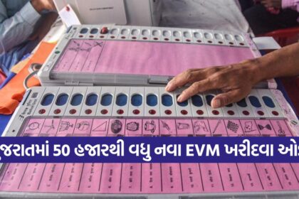evm 0810