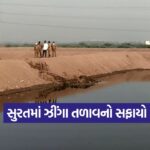 surat 0810 1