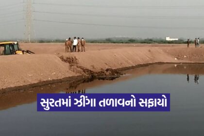 surat 0810 1